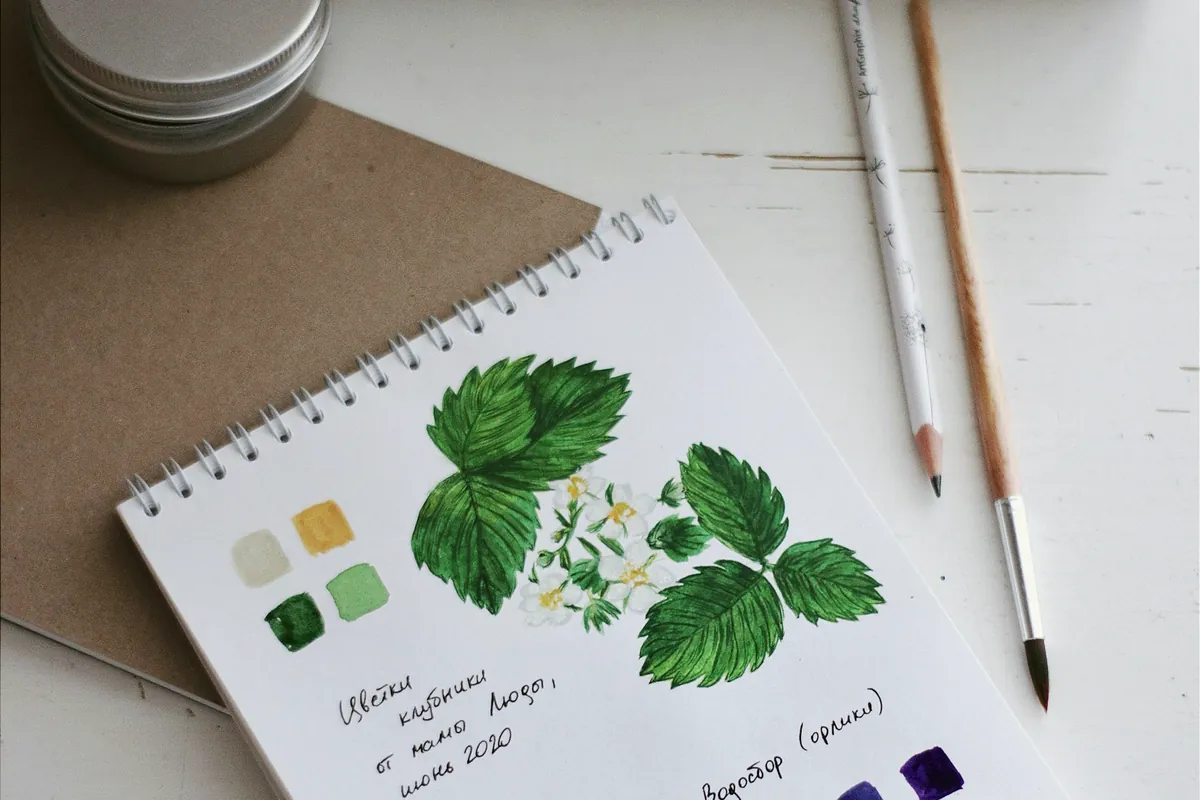 Carnet de croquis botanique avec nuancier d’aquarelle et pinceau