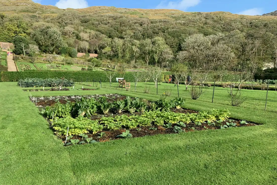 Potager en carré au creux d’une vallée boisée