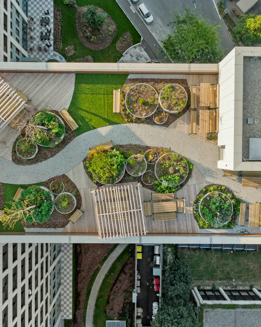 Jardin en bacs ronds vu du dessus, au pied d’un immeuble
