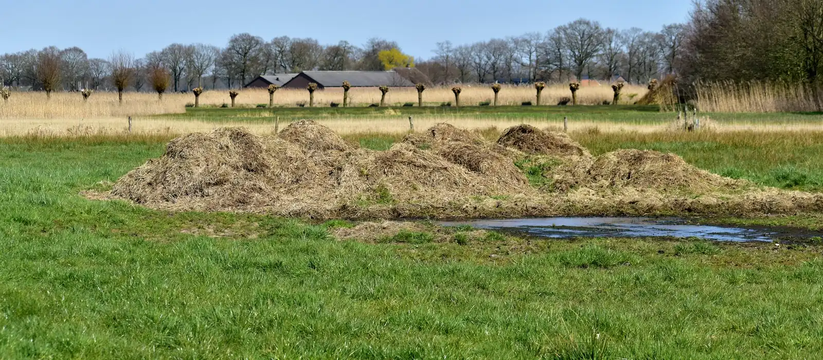 Tas de compost alignés dans une prairie, au bord d’un fossé en eau