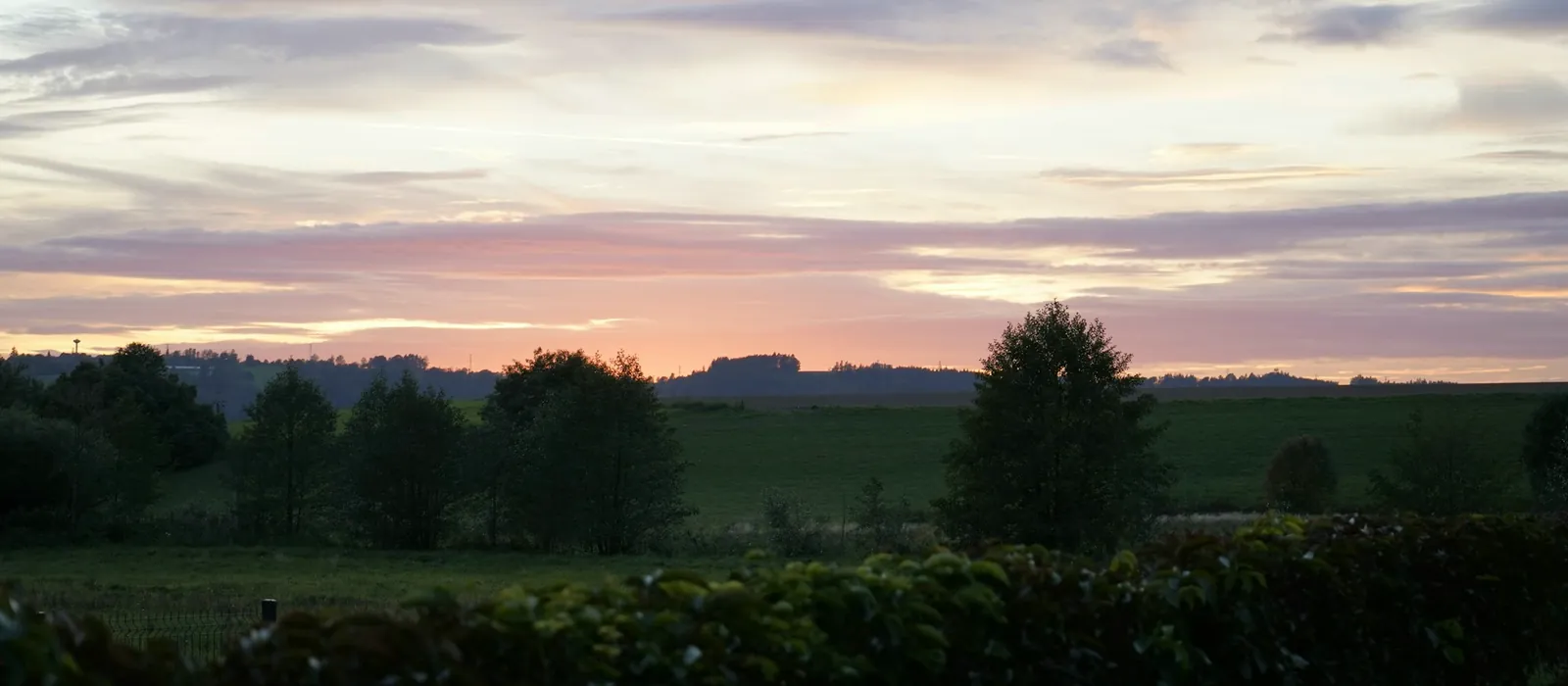 Haie et prairie sous un ciel de fin de journée